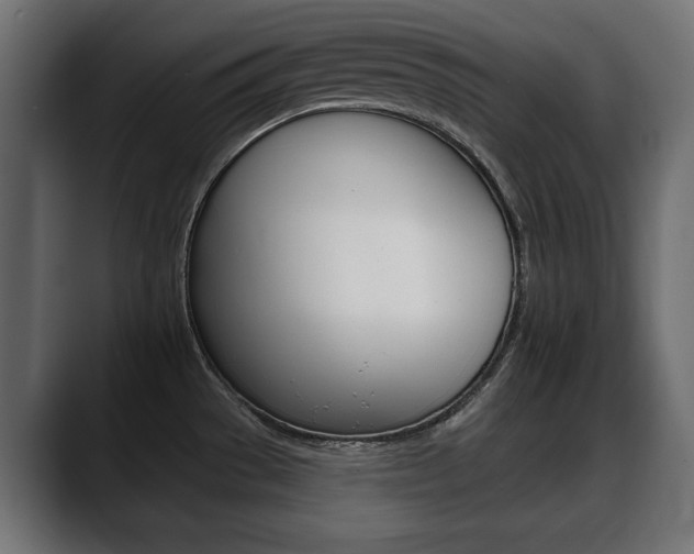 X0000088651529200705250932