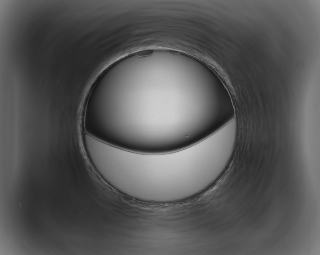 X0000088651530200705250932