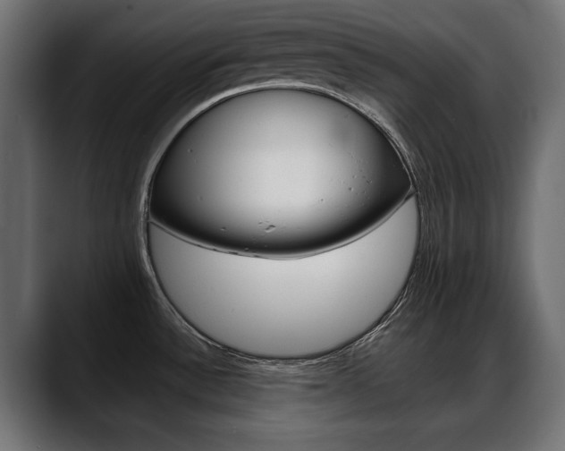 X0000088651532200705250932