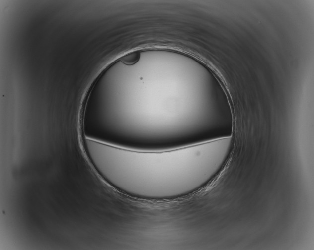 X0000088651533200705250932