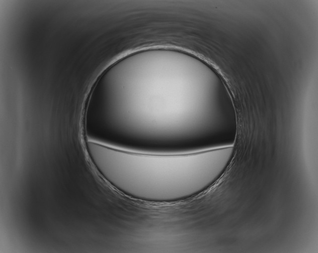 X0000088651534200705250932