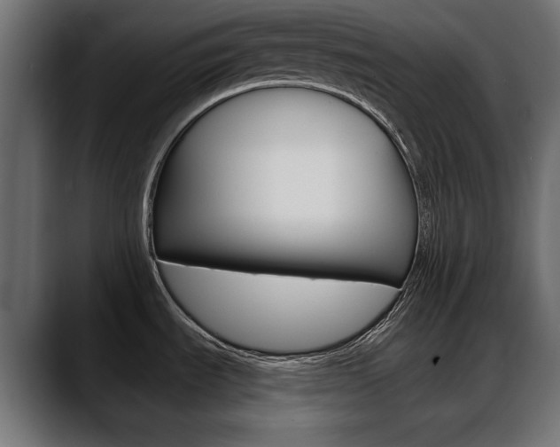 X0000088651535200705250932