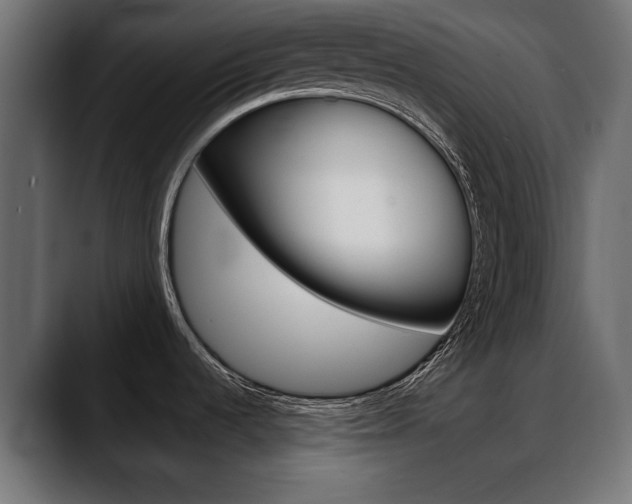X0000088651536200705250932