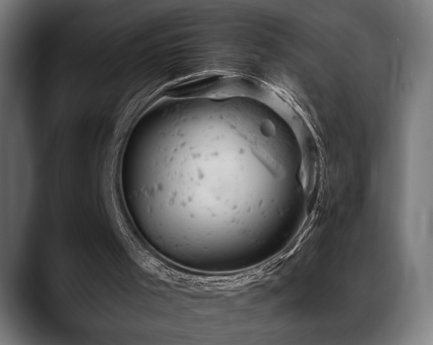 X0000088650001200705251511