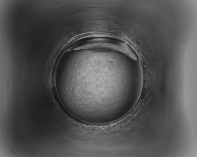 X0000088650002200705251511