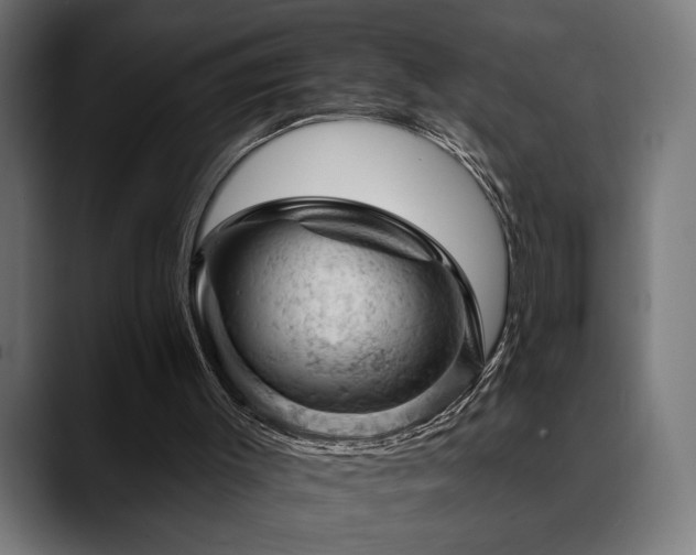 X0000088650003200705251511