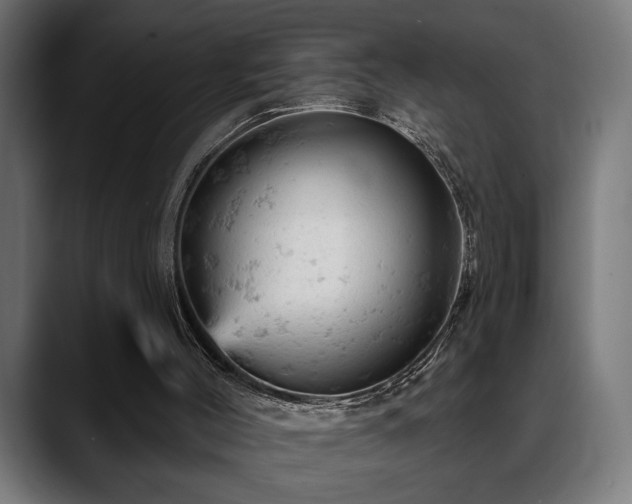 X0000088650004200705251511