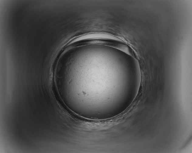 X0000088650005200705251511