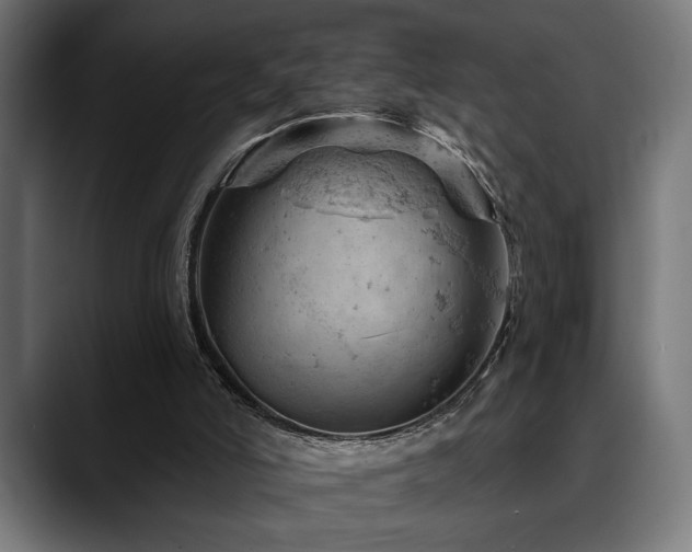 X0000088650006200705251511