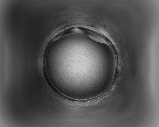 X0000088650007200705251511