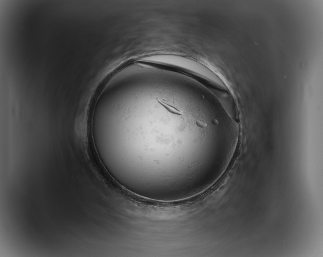 X0000088650008200705251511