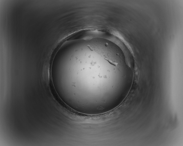 X0000088650011200705251511
