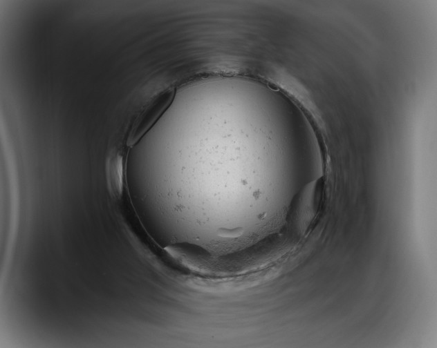 X0000088650013200705251511