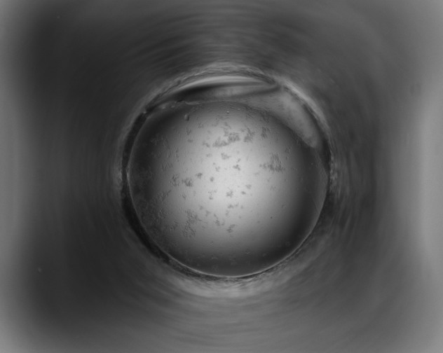 X0000088650015200705251511