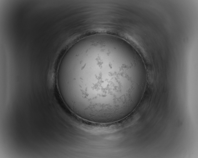 X0000088650016200705251511