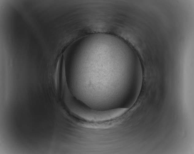 X0000088650017200705251511