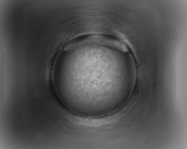 X0000088650018200705251511