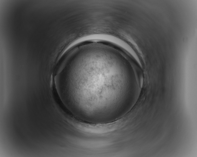 X0000088650019200705251511
