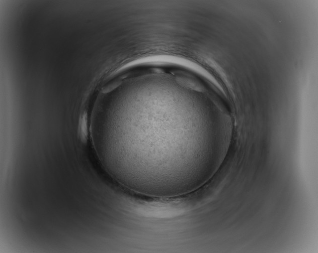 X0000088650020200705251511