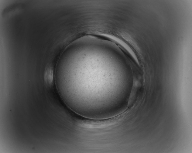 X0000088650021200705251511