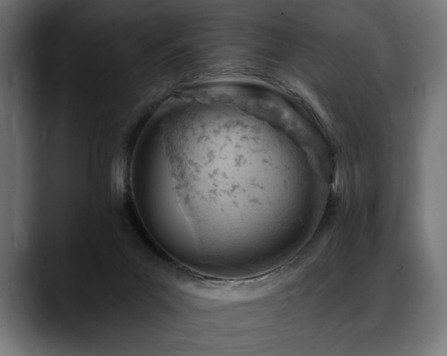 X0000088650023200705251511