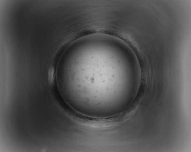 X0000088650024200705251511