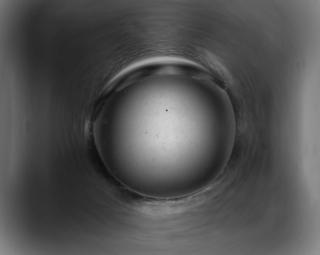 X0000088650025200705251511