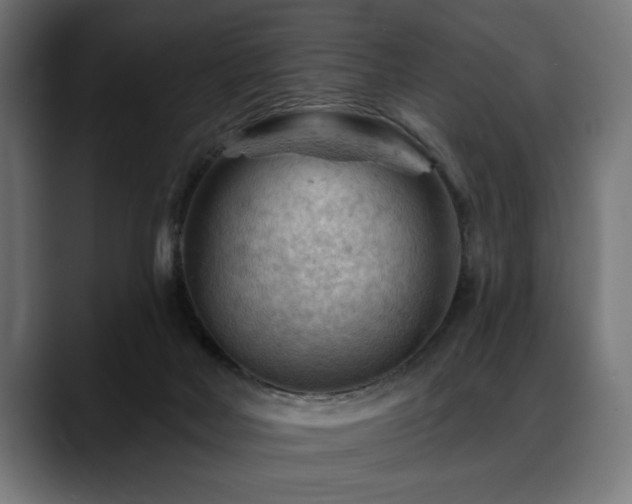 X0000088650026200705251511