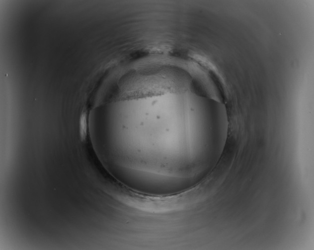 X0000088650027200705251511