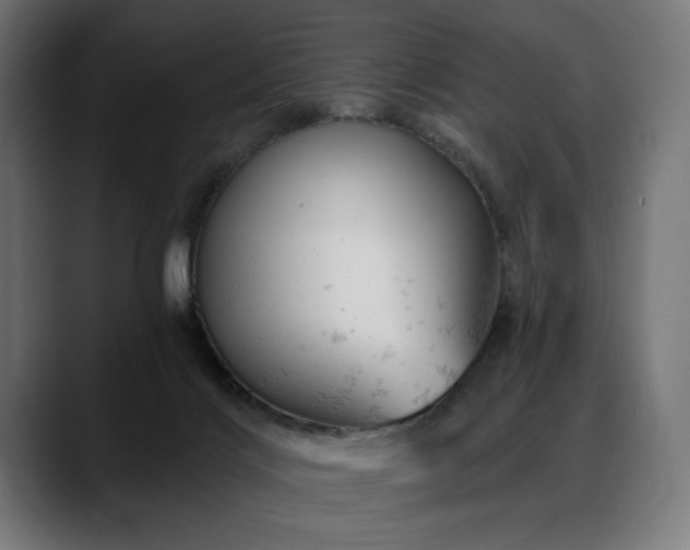 X0000088650028200705251511