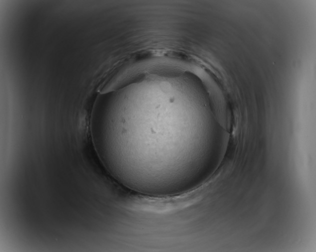 X0000088650029200705251511