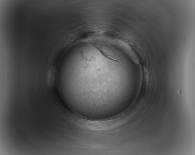 X0000088650030200705251511