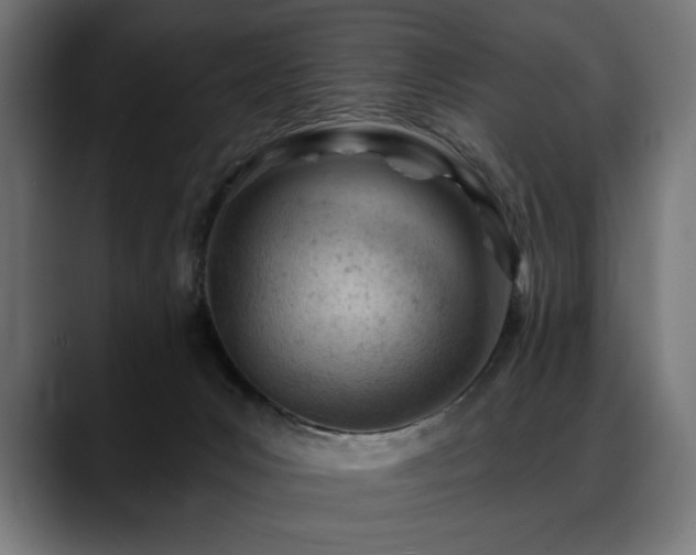 X0000088650031200705251511