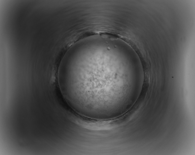 X0000088650032200705251511