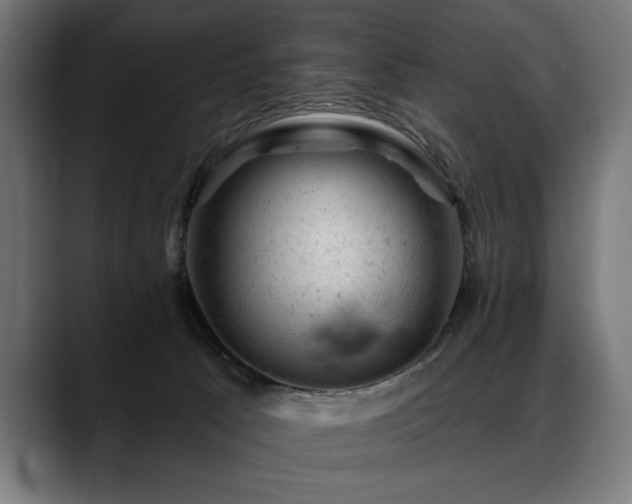 X0000088650033200705251511