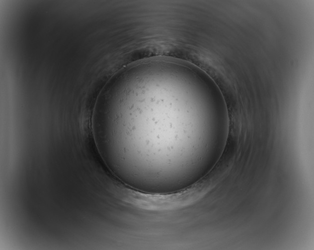 X0000088650034200705251511