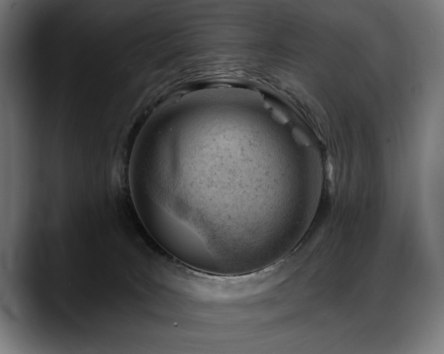 X0000088650035200705251511