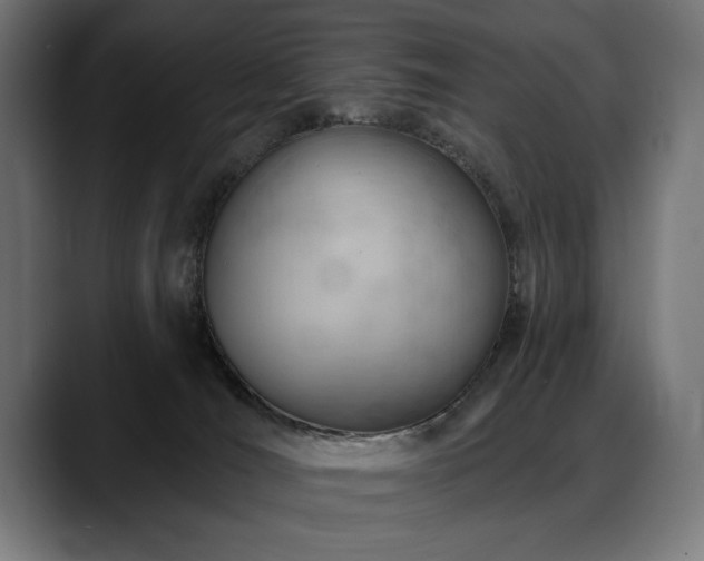 X0000088650036200705251511