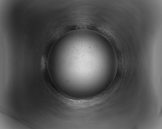 X0000088650038200705251511