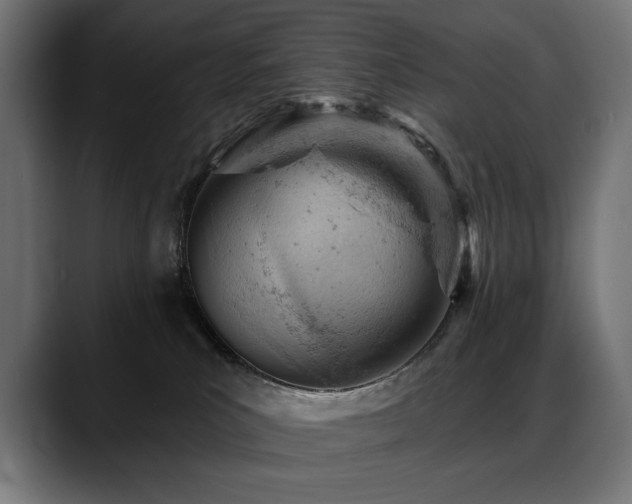 X0000088650039200705251511