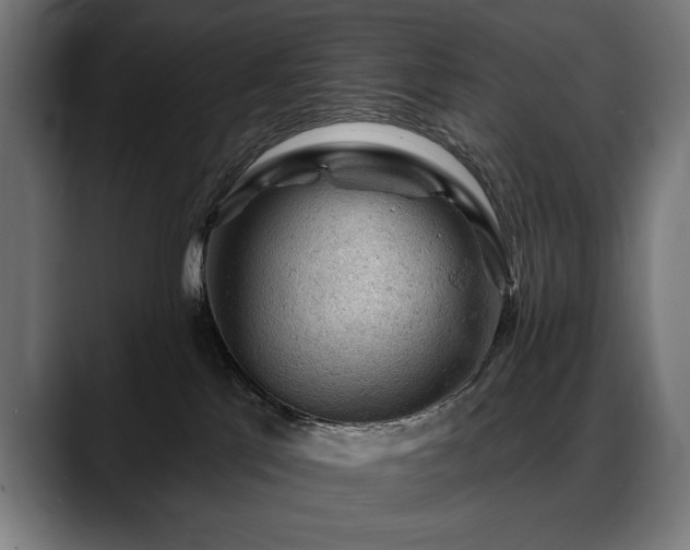 X0000088650041200705251511