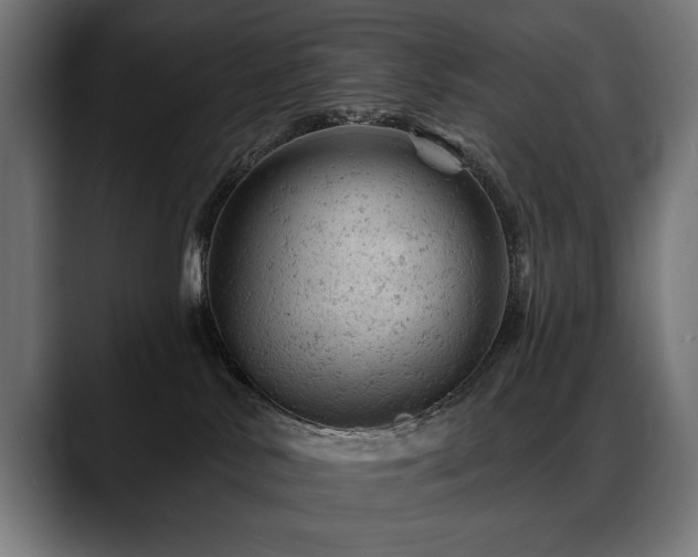 X0000088650042200705251511