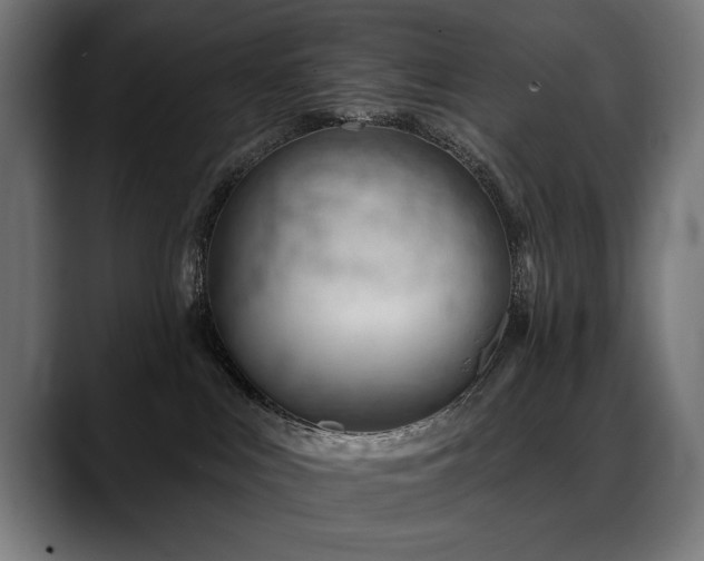 X0000088650043200705251511