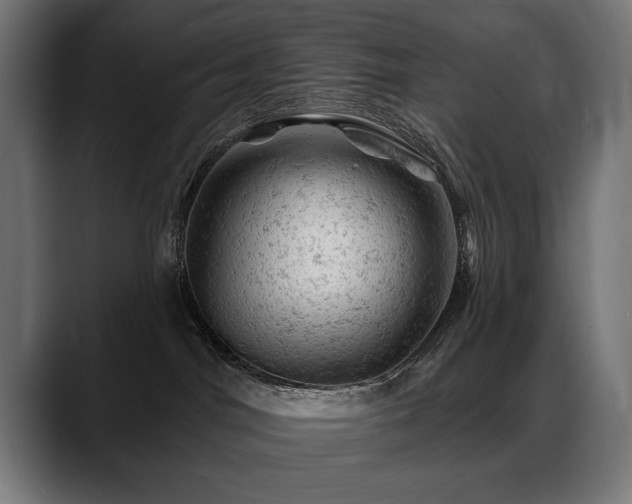 X0000088650044200705251511