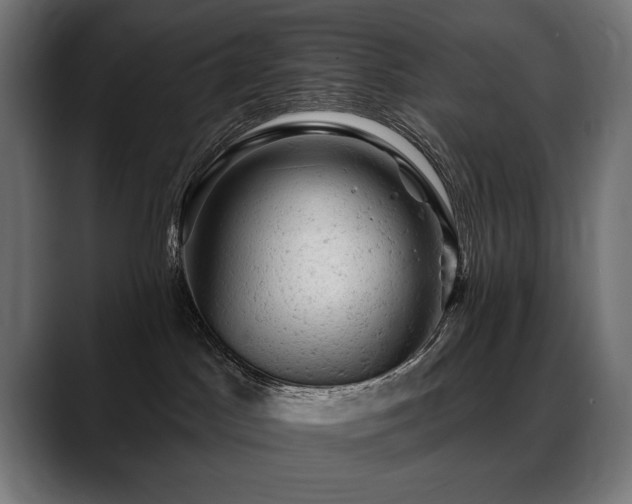 X0000088650045200705251511