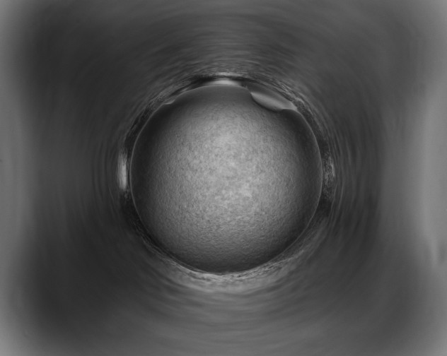 X0000088650046200705251511