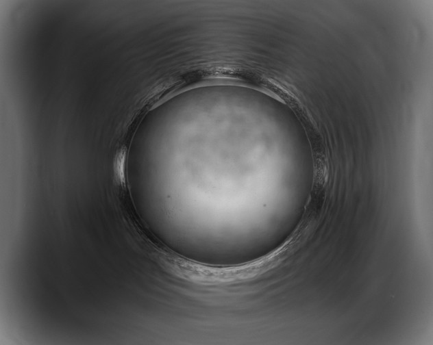 X0000088650047200705251511