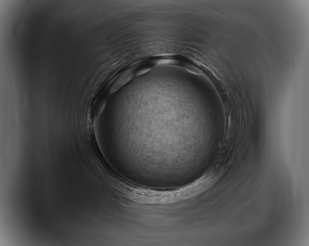 X0000088650048200705251511