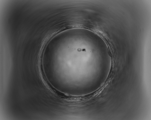 X0000088650049200705251510