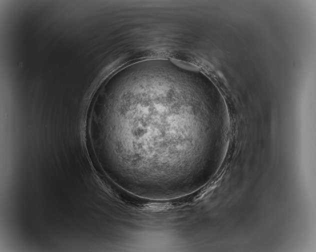 X0000088650051200705251510